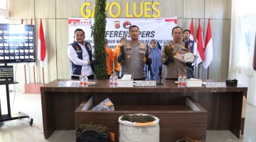 Nekat Bawa Ganja Dengan Sepmor,Ibu dan Anak Diamankan Polisi